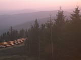 19 : 48