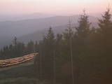 19 : 52
