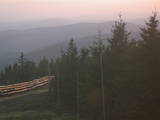 19 : 56