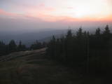 20 : 20