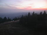 20 : 36