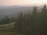 19 : 20