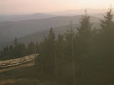 19 : 28
