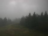 17 : 12