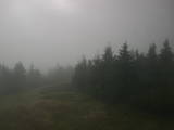 17 : 20