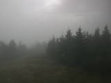 17 : 24