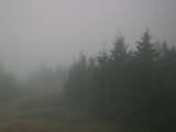 18 : 40