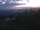 20 : 44