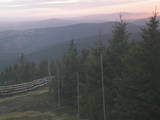 19 : 42