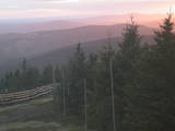 19 : 46