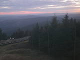 20 : 20