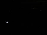 21 : 20