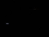 23 : 00