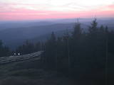 20 : 20