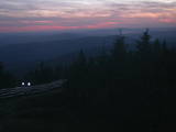 20 : 40
