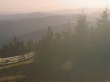19 : 06