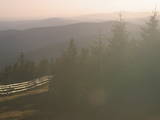 19 : 10
