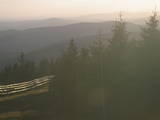 19 : 20