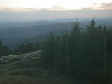 19 : 50