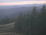 19 : 36