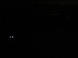 20 : 44