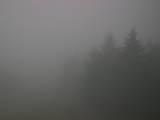 07 : 44