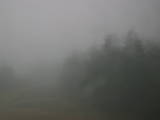 08 : 06