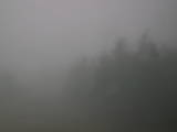 08 : 08
