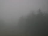 08 : 12