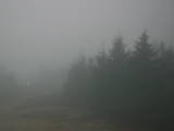 07 : 36