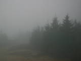 07 : 48