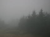 08 : 00