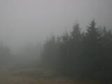 08 : 20