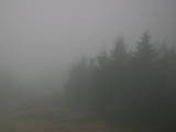 08 : 44
