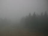 09 : 06