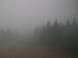 09 : 50