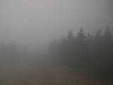 13 : 56