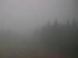 14 : 00