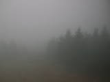 14 : 16