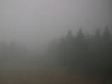 14 : 28