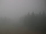 14 : 48