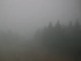15 : 08