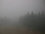 15 : 16