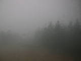 15 : 20