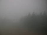 15 : 32