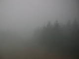 15 : 44