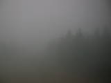 15 : 52