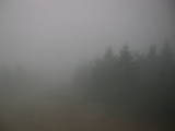 15 : 56