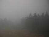 16 : 12