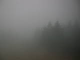 16 : 20
